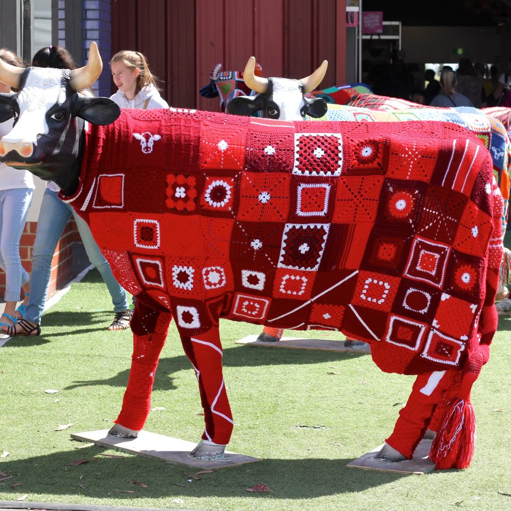 Cow clothes at the Royal Melbourne Show